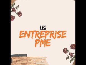 Entreprises / Pme